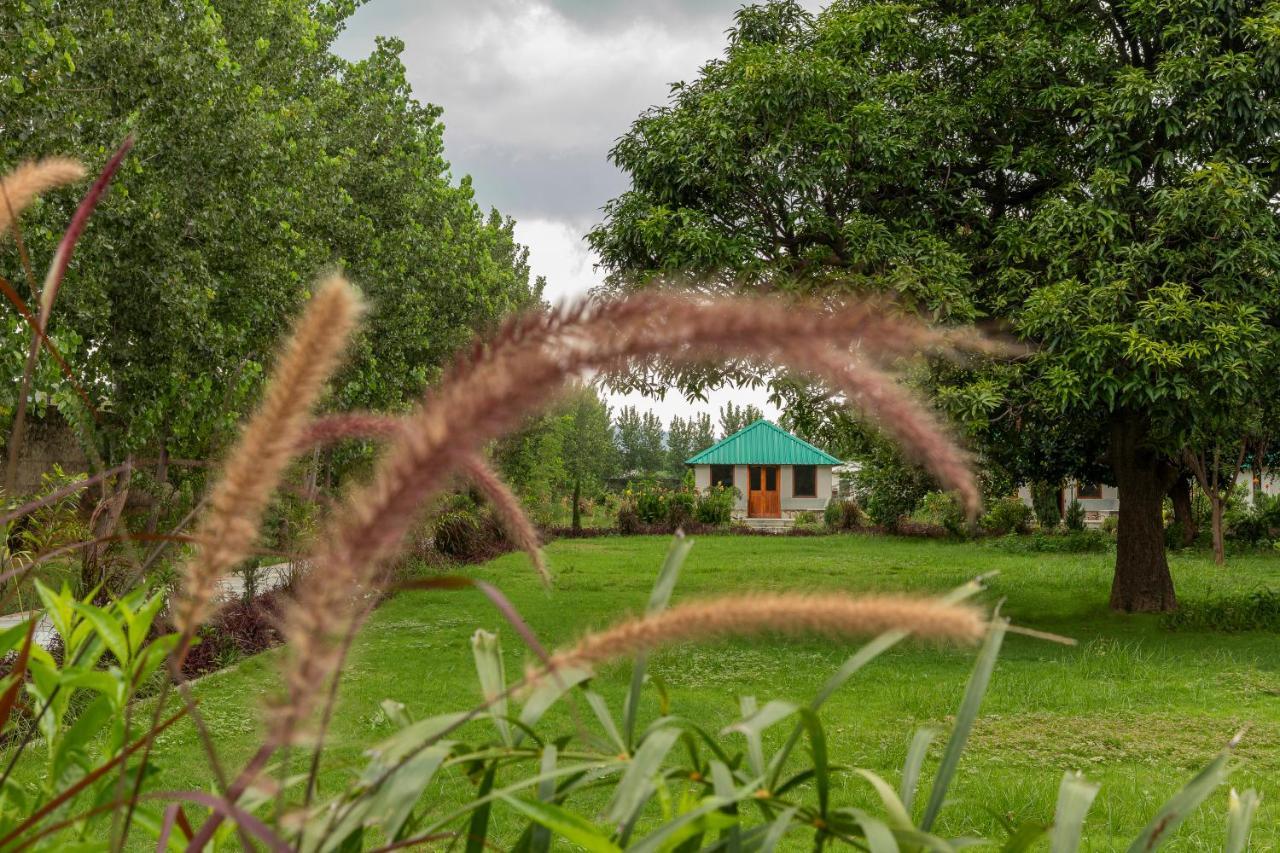 Zana Luxury Forest Resort, Ranthambore ซาวาย มาโดปูร์ ภายนอก รูปภาพ